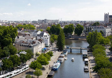 Meilleurs Fleuristes à Nantes
