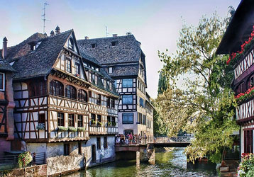 Meilleurs Fleuristes à Strasbourg