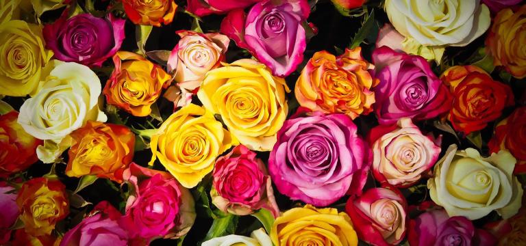 BestFleuriste