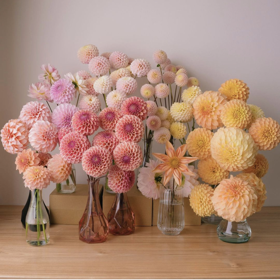 Kimua - Fleuriste 💐