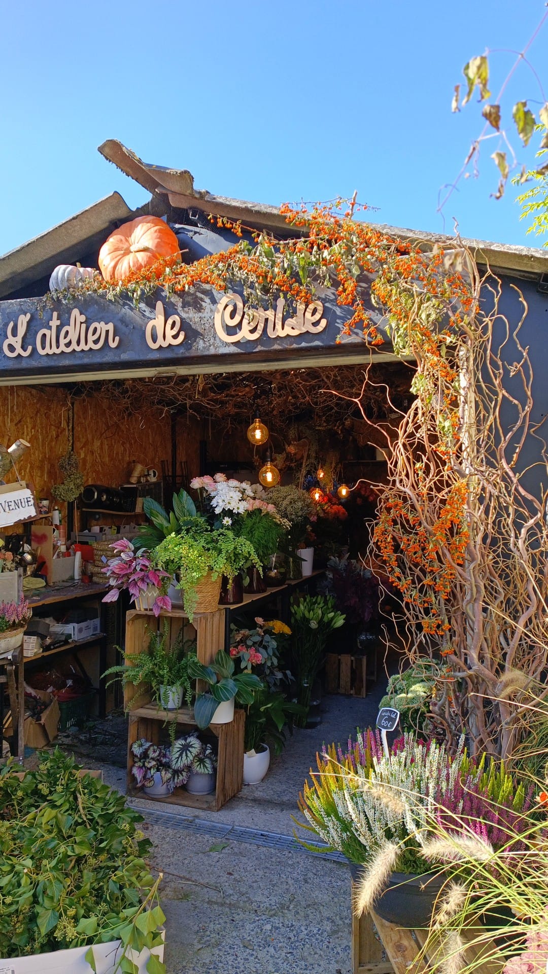L'Atelier de Cerise