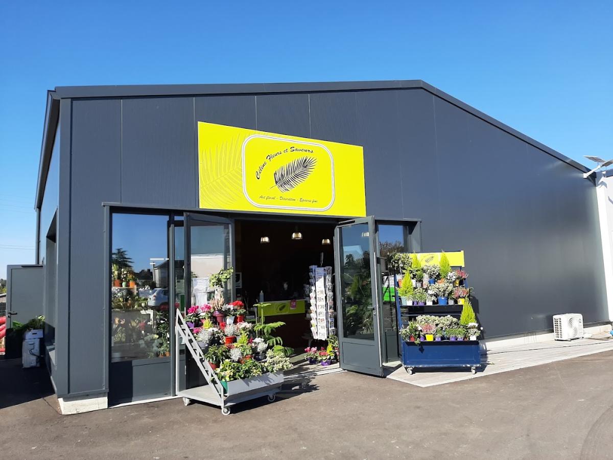 Céline Fleurs et Saveurs - Fleuriste à Beaufort-en-Anjou