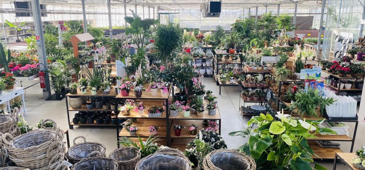 Au Plantarium - Fleuriste à Quarouble