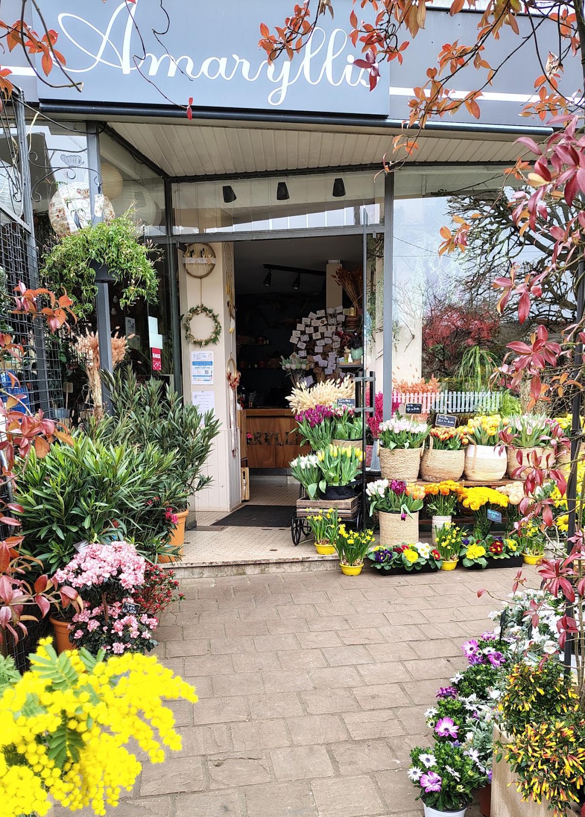 Fleuriste Amaryllis - Fleuriste à Sainte-Geneviève-des-Bois