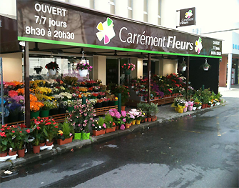 Carrément Fleurs - Fleuriste Toulouse Balma 31 - Livraison de fleurs à domicile - Fleuriste à Toulouse