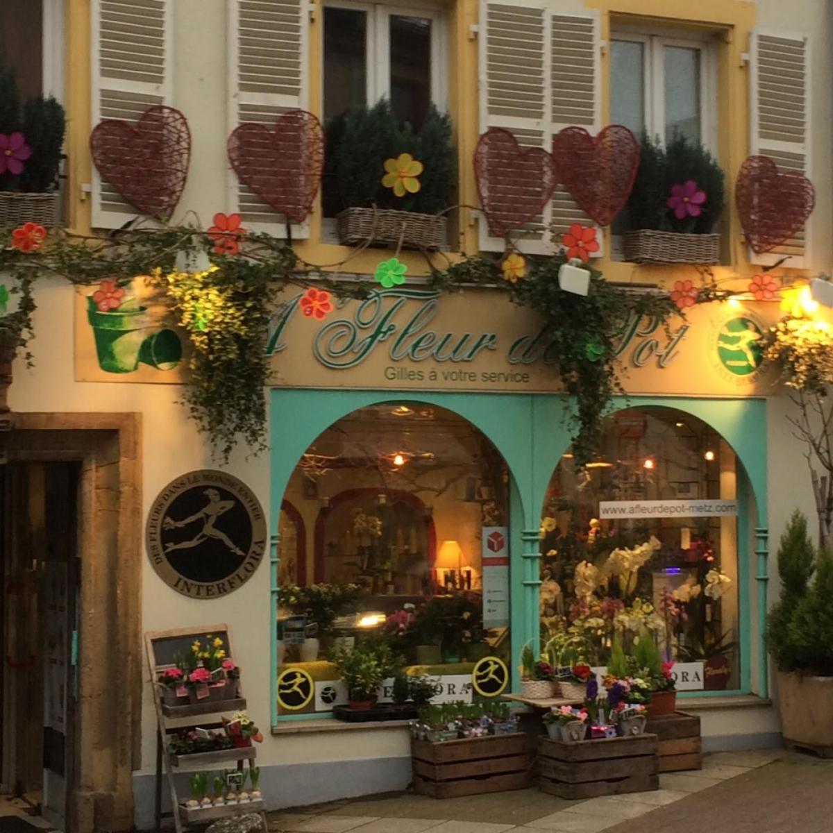 A Fleur De Pot - Fleuriste à Moulins-lès-Metz