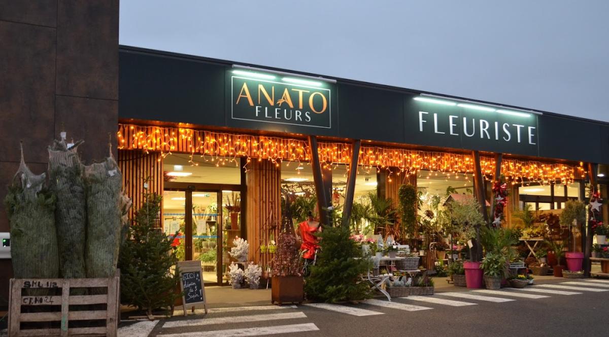 🌼 ANATO FLEURS - CITRON'ELLE - Fleuriste à Parigné-l'Évêque