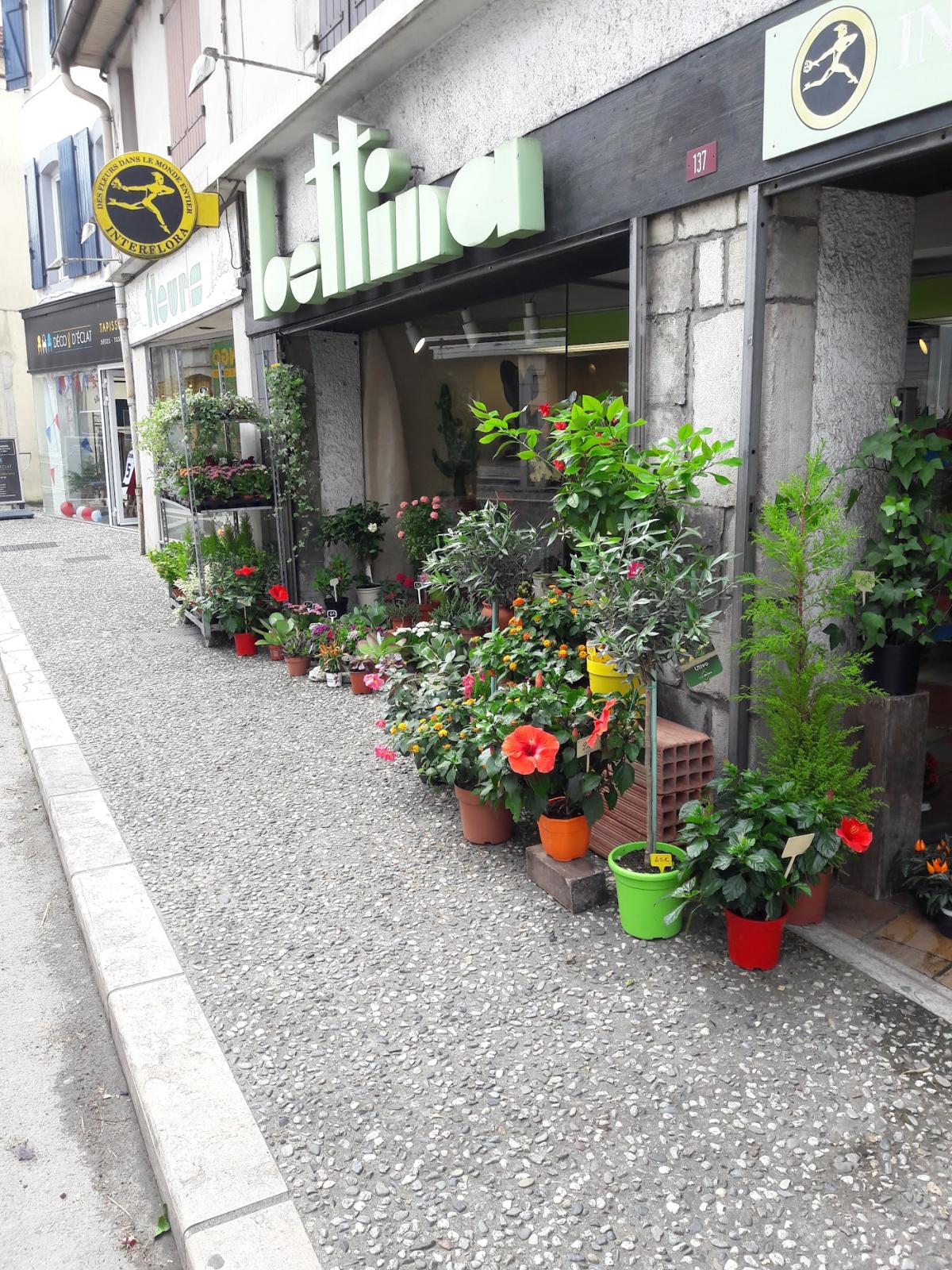 Bettina Fleurs - Fleuriste à Peyrehorade