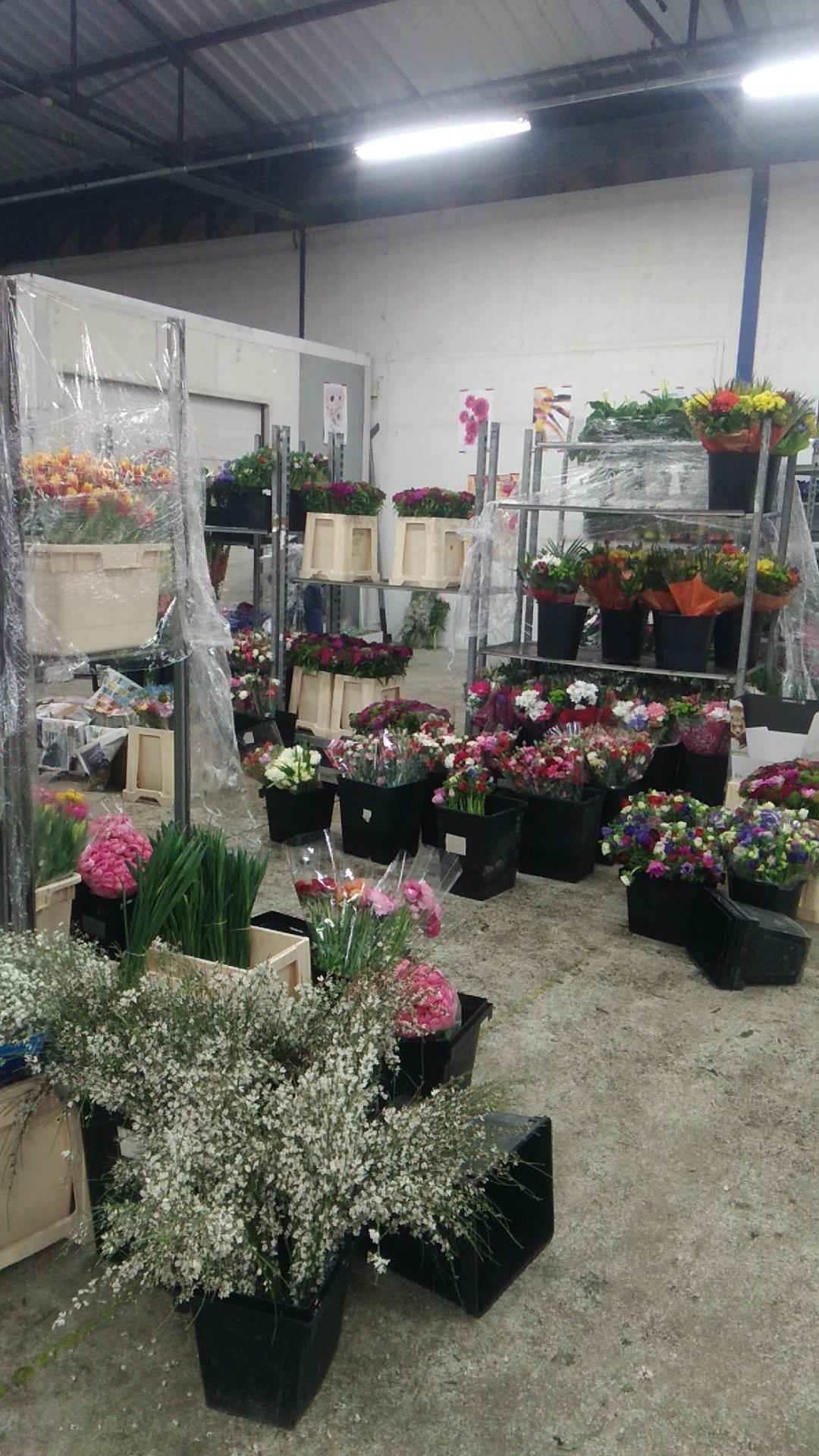 LE MARCHÉ FLORAL LYONNAIS Asso. Fournisseur grossiste fleurs plantes Lyon RÉSERVE AUX FLEURISTES - Fleuriste à Saint-Priest