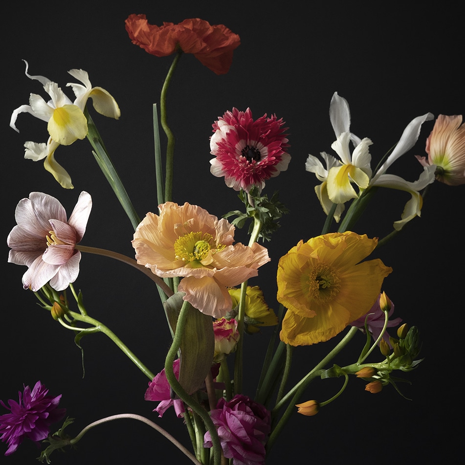 Une fleur en liberté