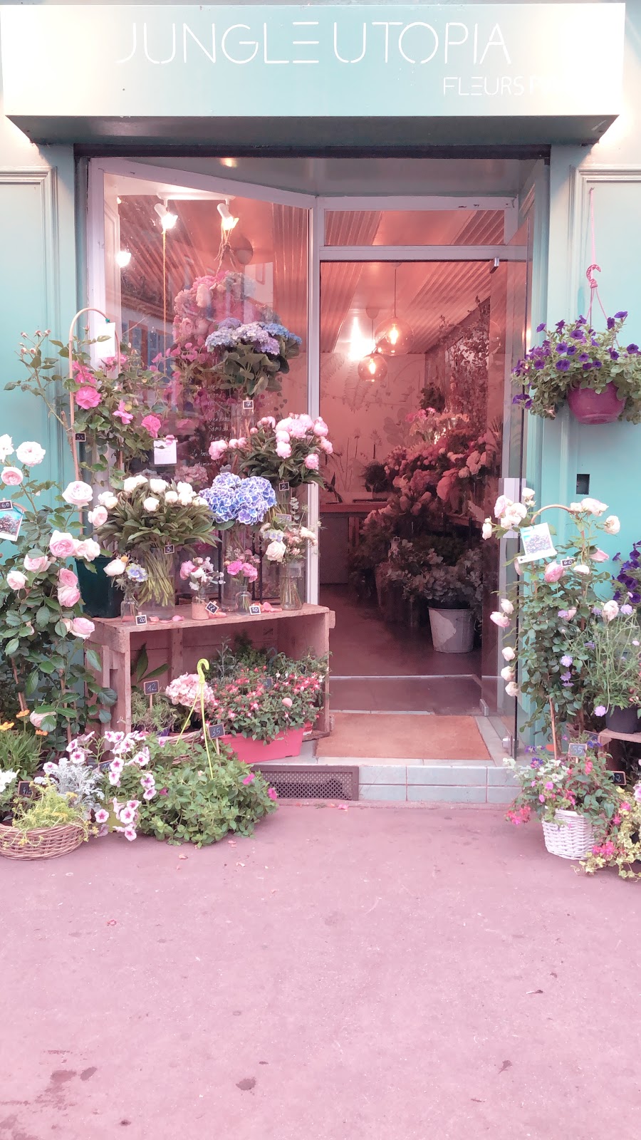 JUNGLE UTOPIA , Fleuriste Toulouse