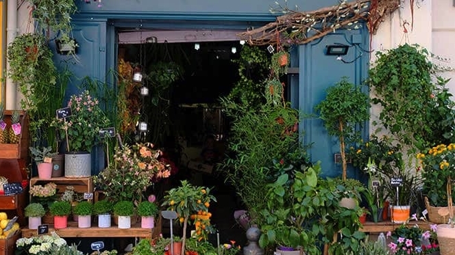 Épines De Paradis - Fleuriste Marseille