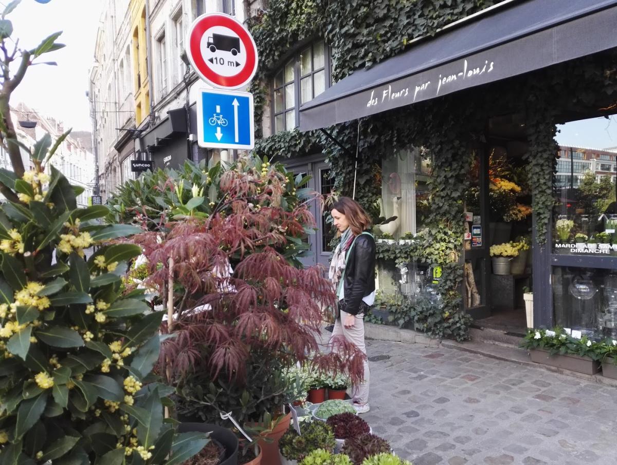 Des Fleurs par Jean-Louis