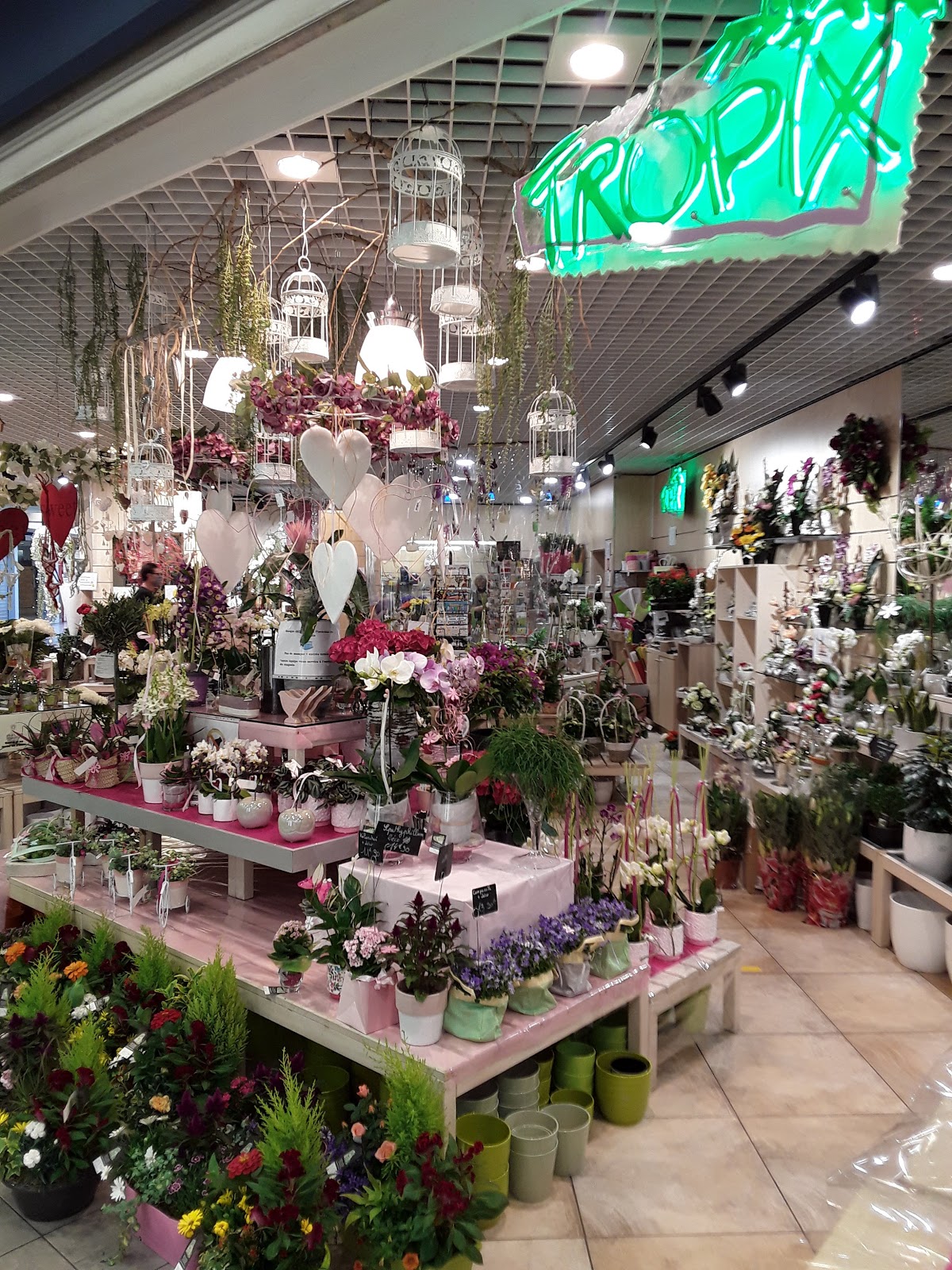 Tropix Illkirch-Graffenstaden