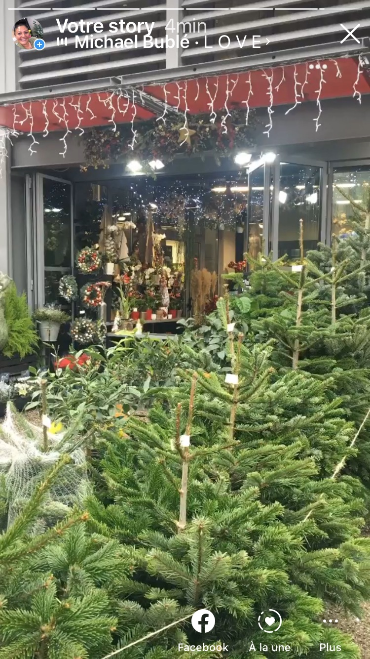 Les Fées Fleurs Argiolas Emilie