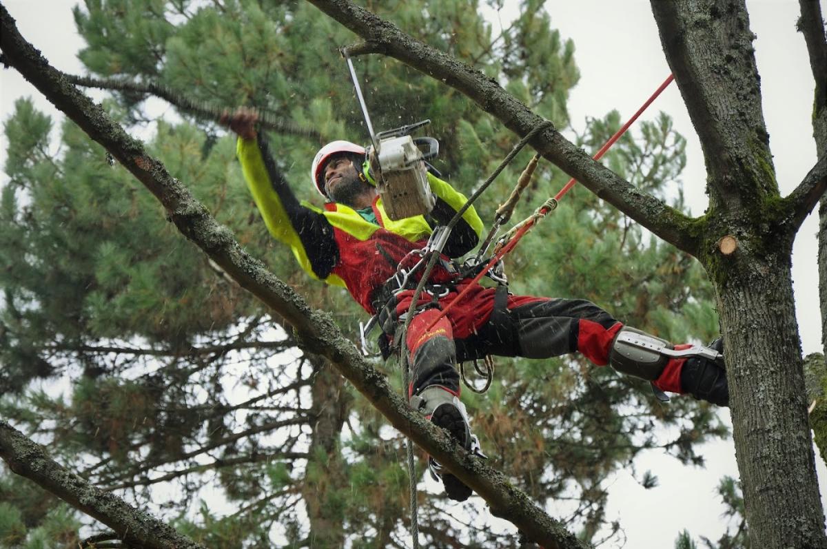 ADN PARIS SUD - SOS JARDINS