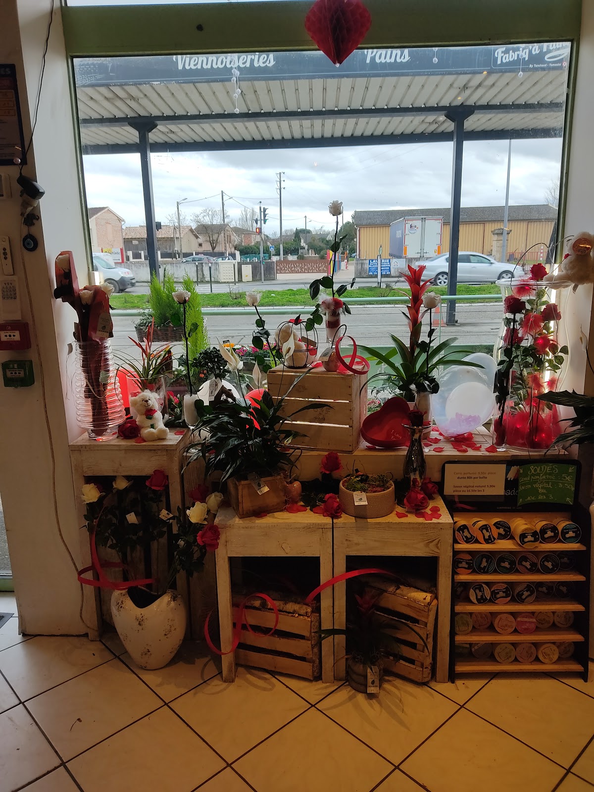 Aux Couleurs de la Terre