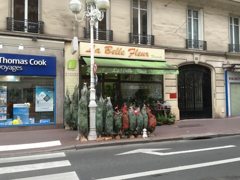La Belle Fleur