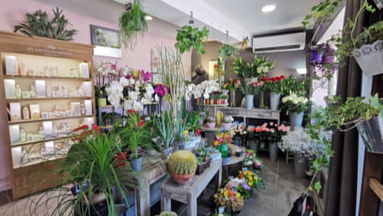 Douceur de Fleurs
