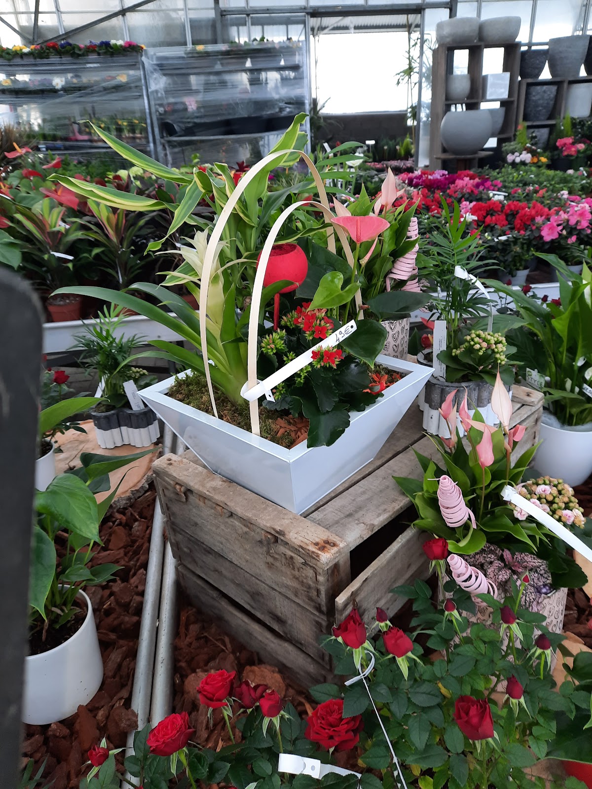 Pépinières Fougère Vaudaine