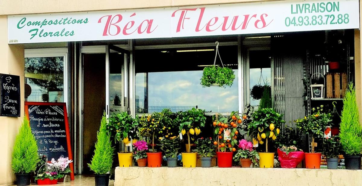 Béa Fleurs