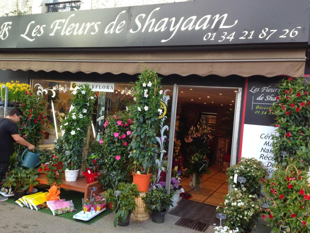 LES FLEURS DE SHAYAAN