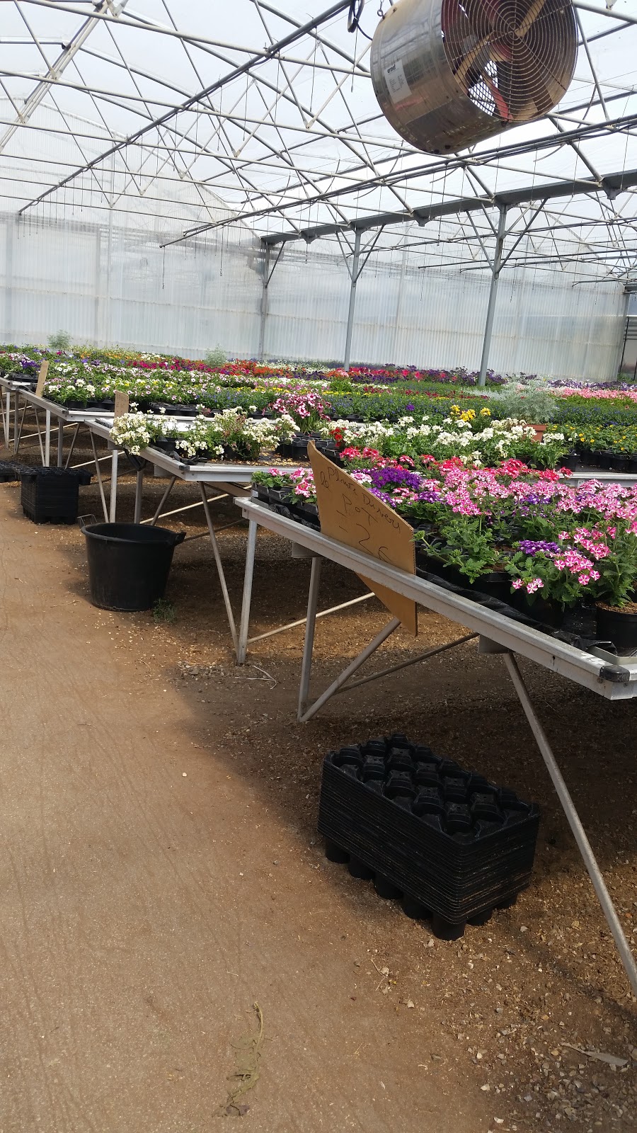 Fleurs du Mesnil SARL