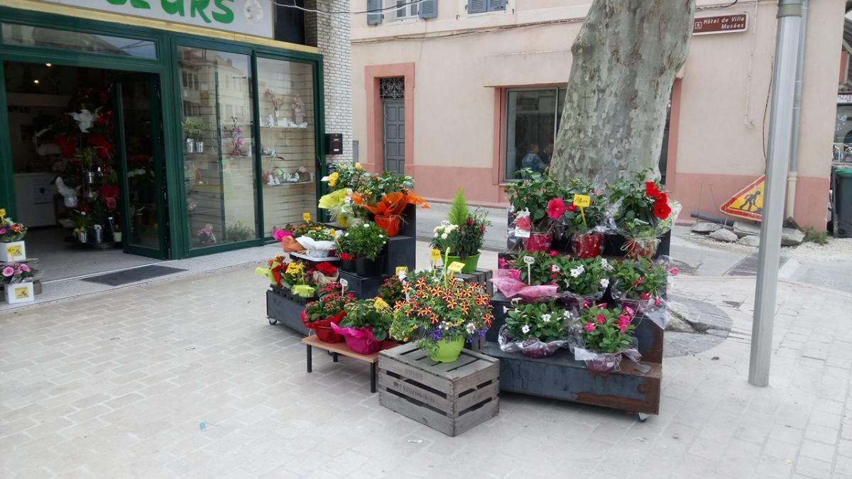 Fleuriste Interflora