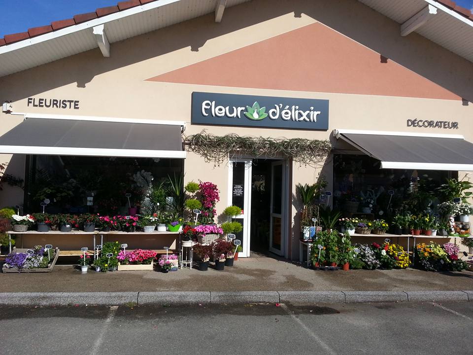 Fleur d'élixir