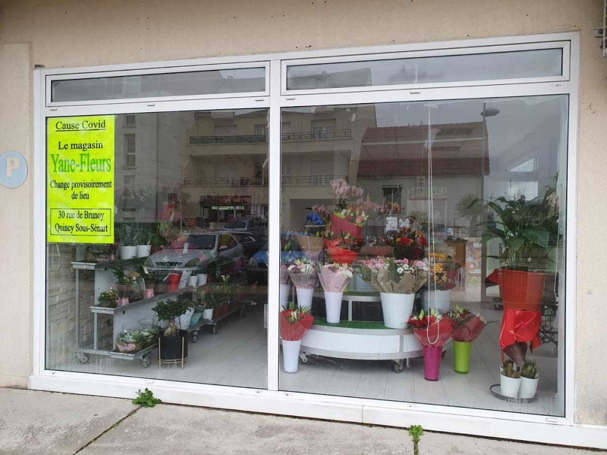 Yane Fleurs Sté