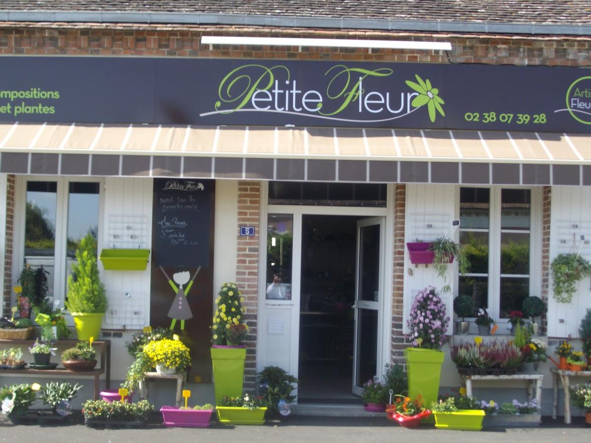 Petite Fleur