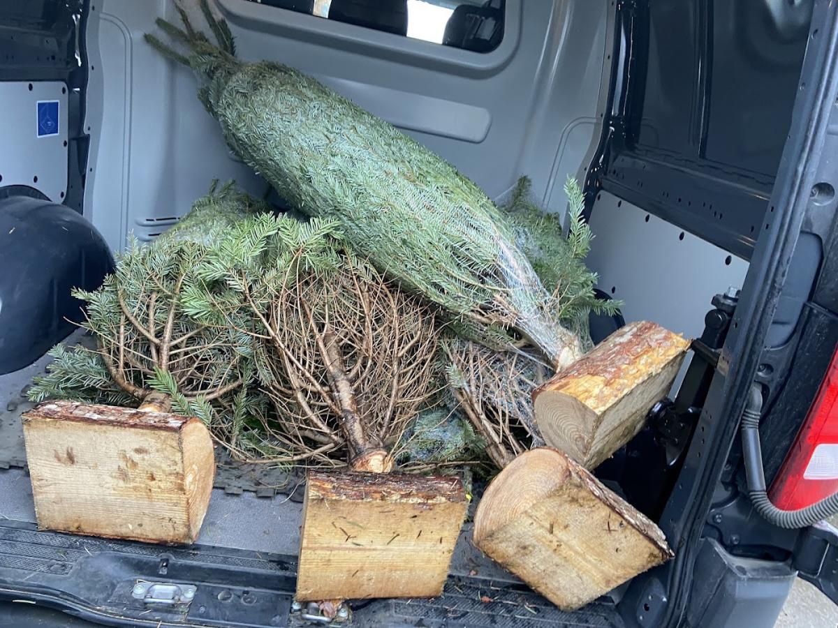 Le Chardon (Fleuriste)