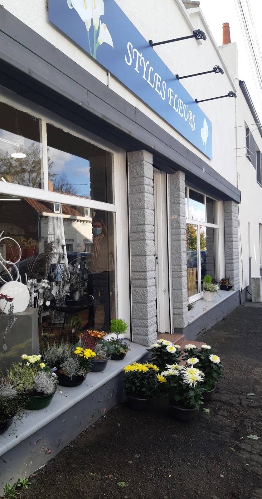 Stylesfleurs