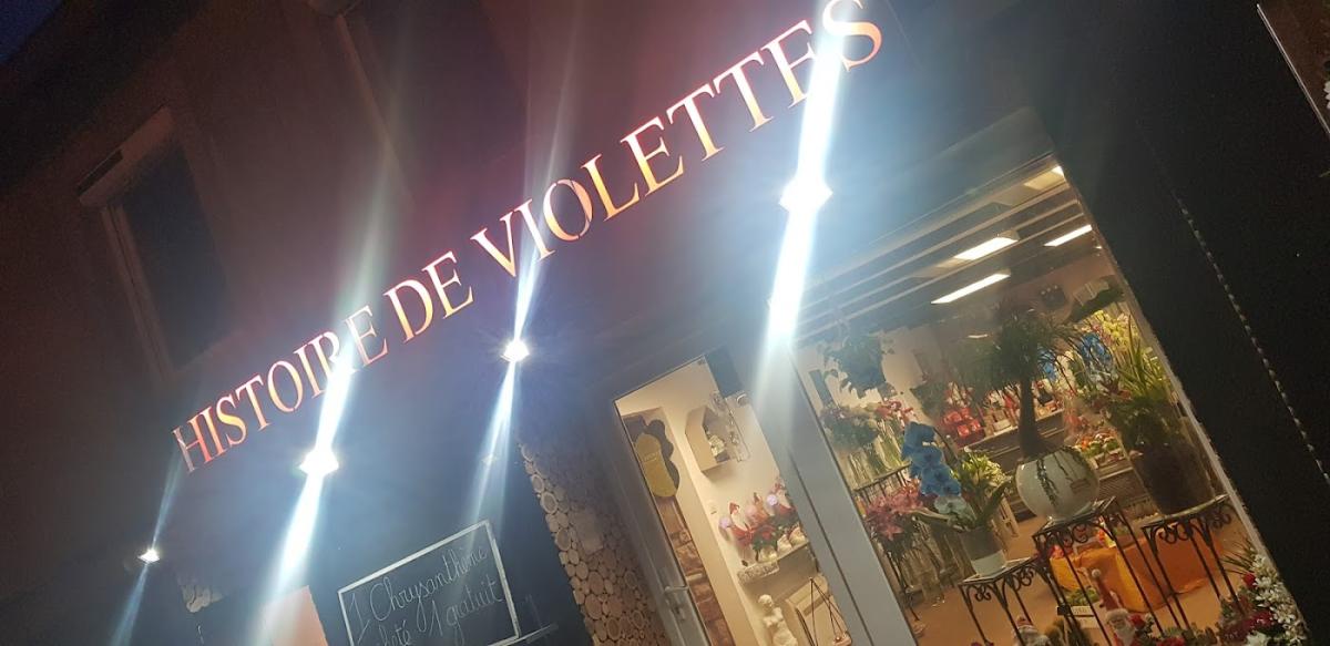 Histoire de Violettes