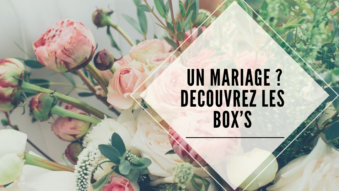 Les Oeillets d’Amour