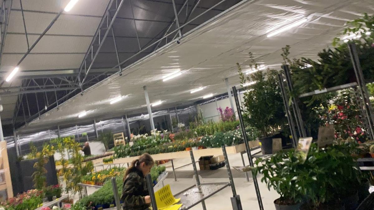 Jardinerie-Moulin Saint Estève