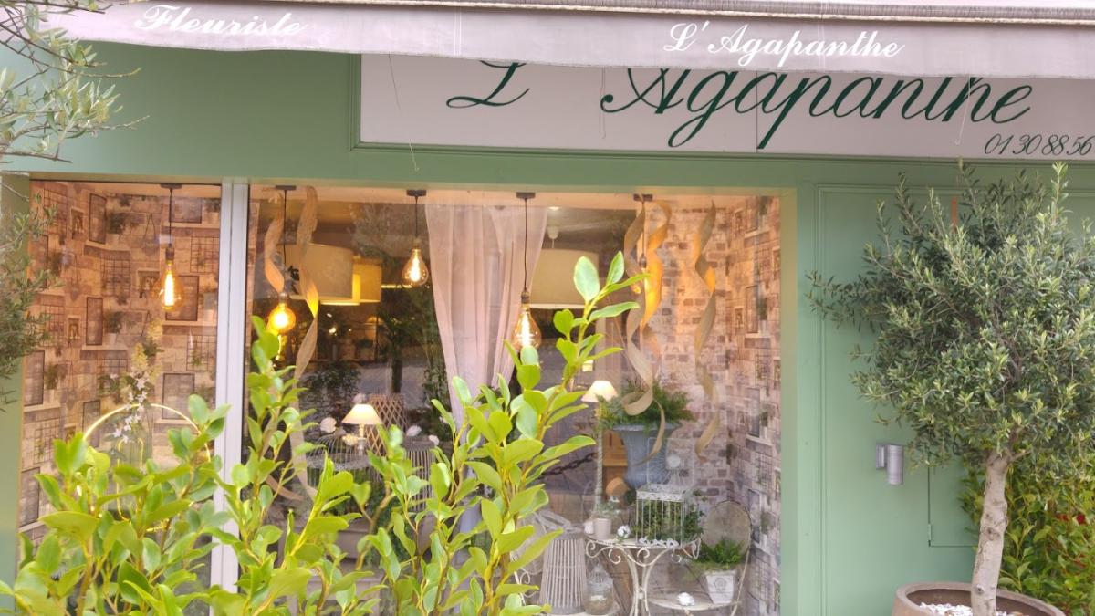 L'Agapanthe