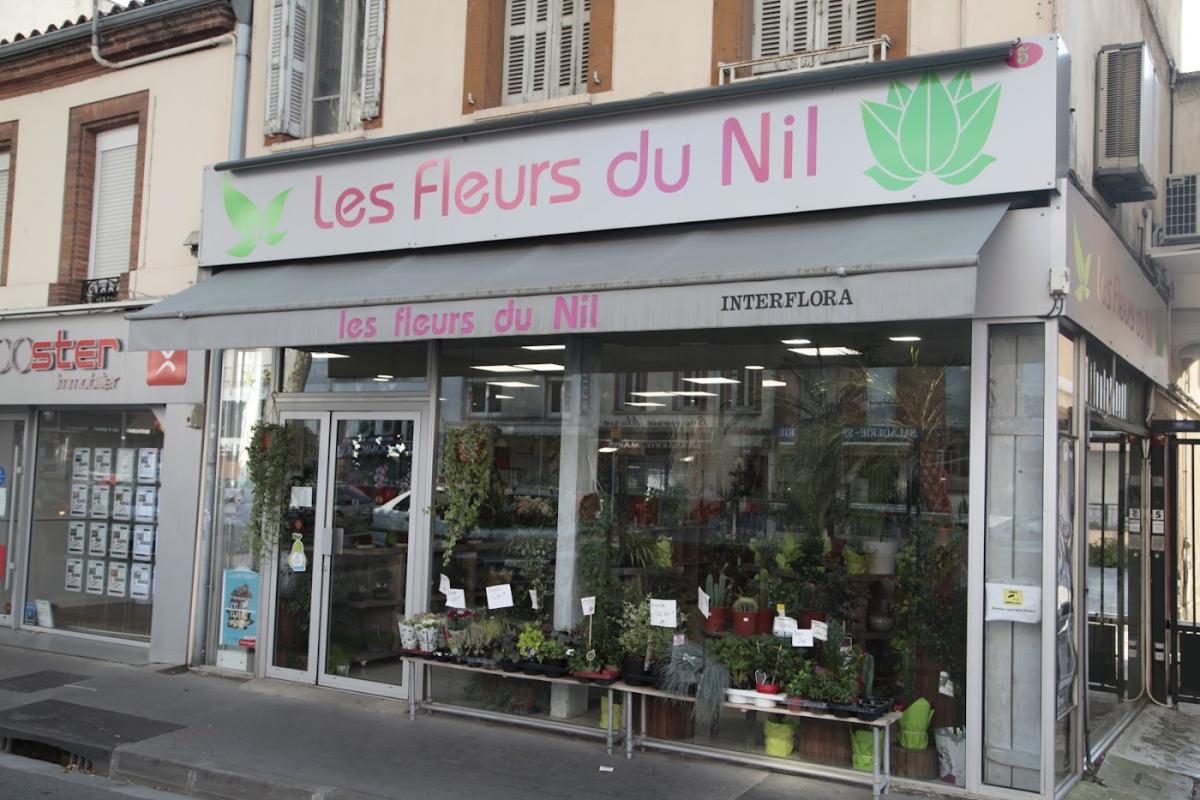 LES FLEURS DU NIL