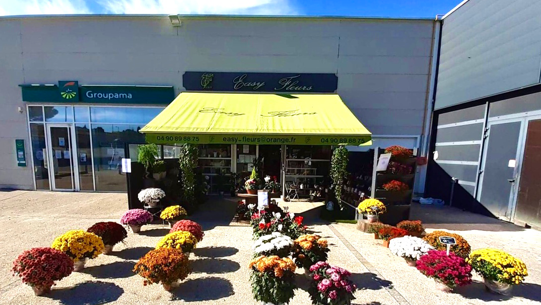 Easy Fleurs