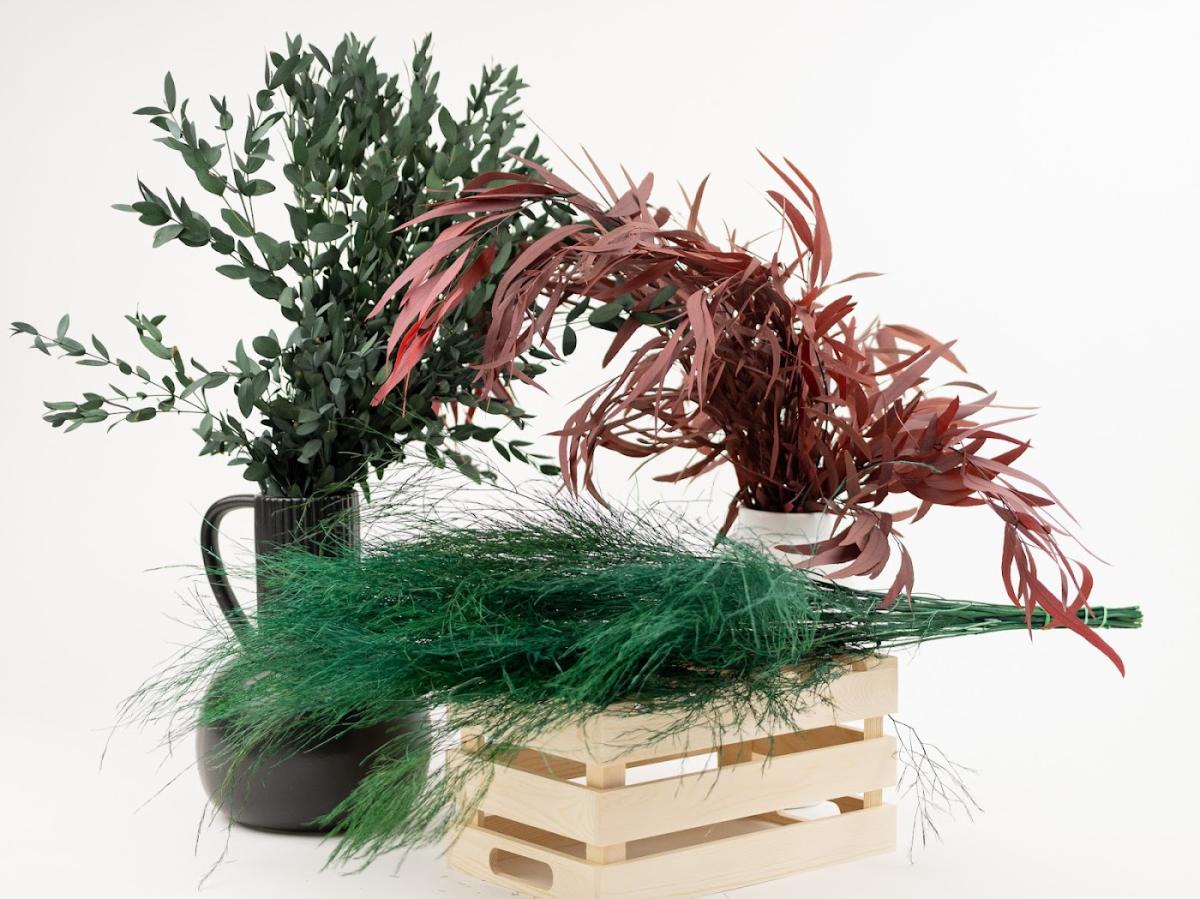 Phocealys végétaux stabilisés et secs - preserved and dried plants