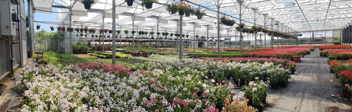 Rozière Daniel Horticulture