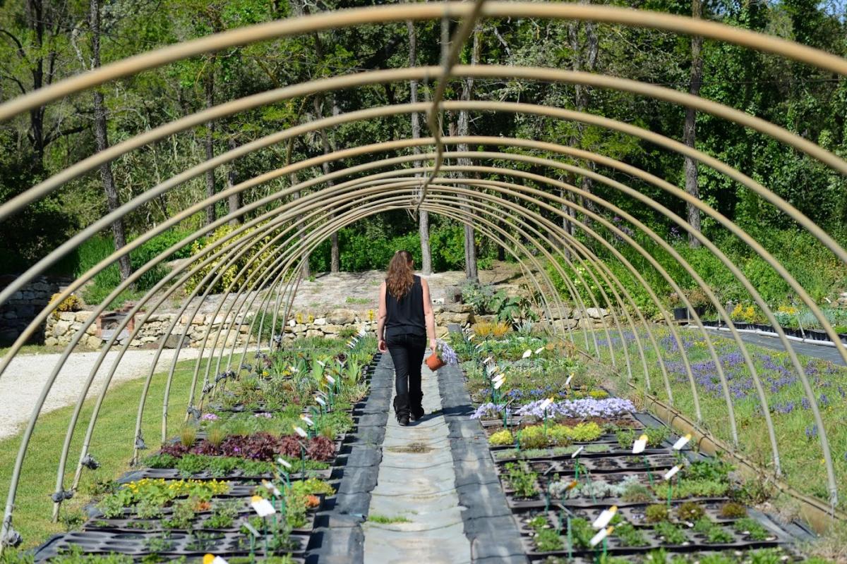 Pépinières HEURTEBISE