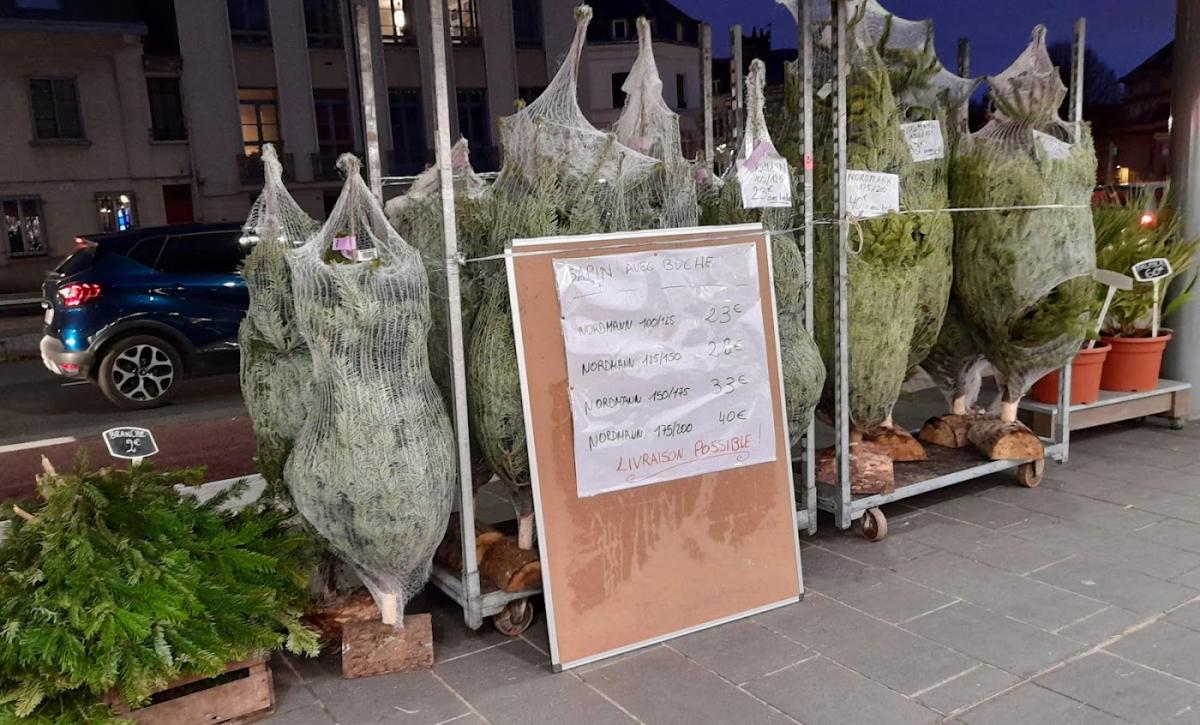 Sofia Fleurs et Décorations-Cauchoise