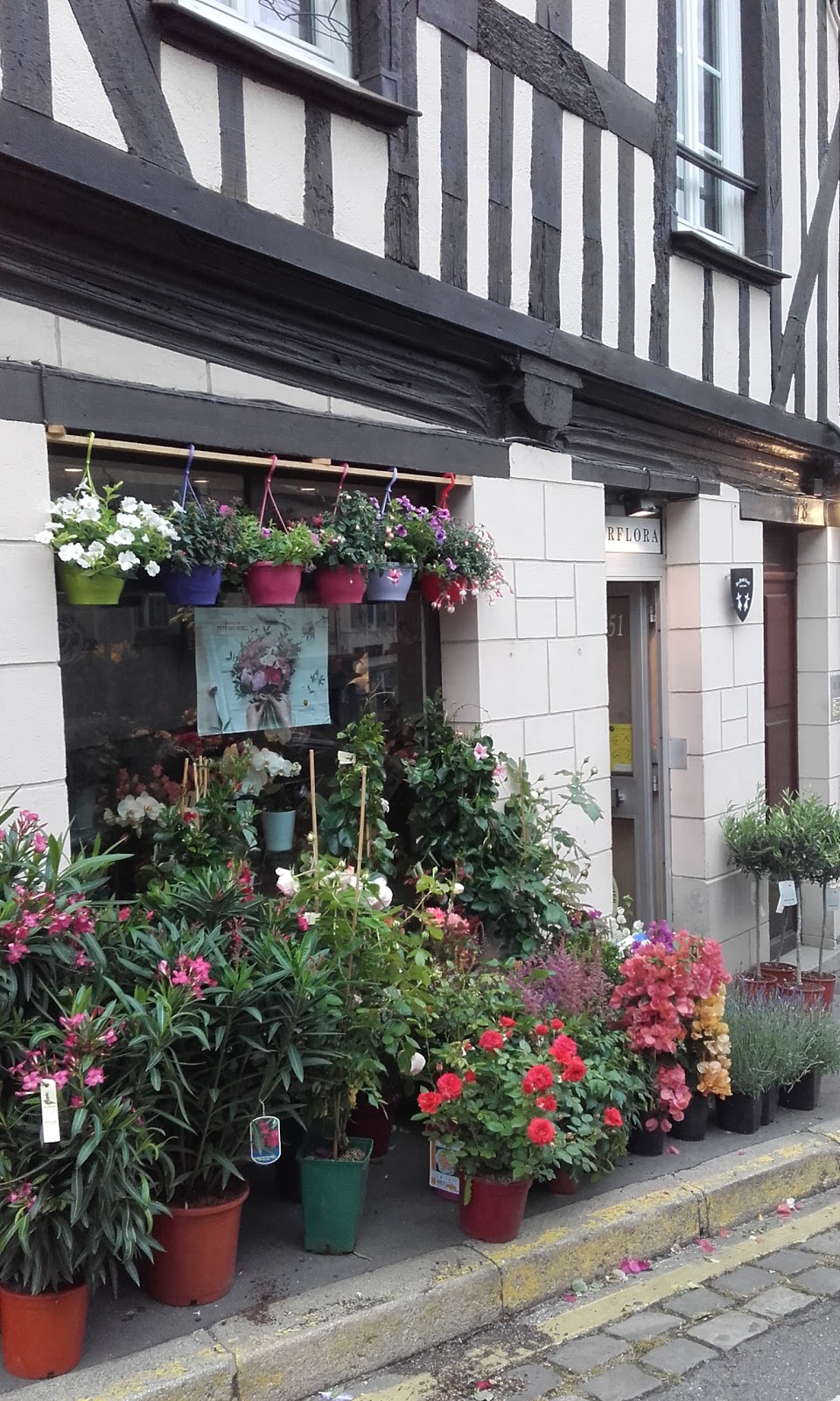 Le chardon - fleuriste