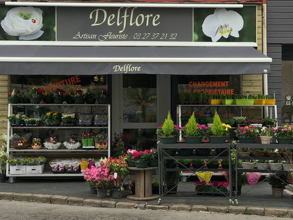 Delflore