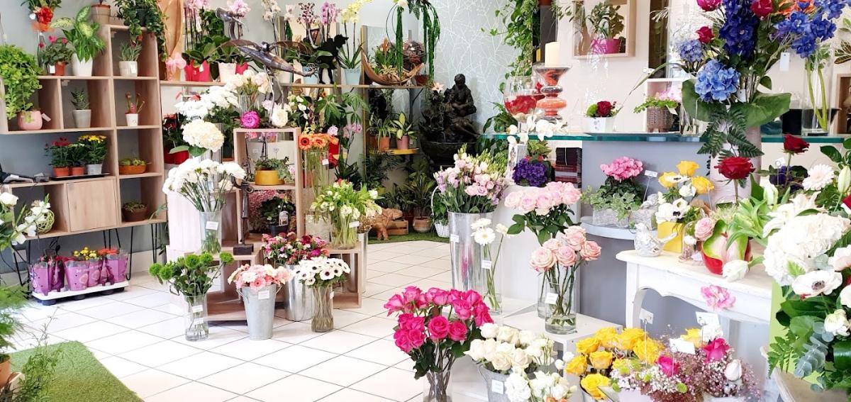 Hélios Fleurs Lombez