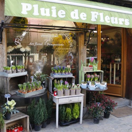 Pluie de Fleurs, Gilles Saison Artisan Fleuriste