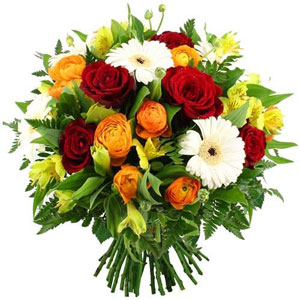 Distri Fleurs