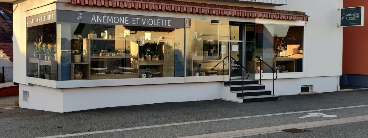 Anémone et Violette