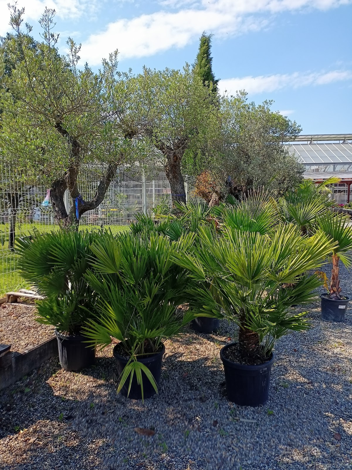 Piscines de France - Alsacienne de Paysage - Constructeur de piscine et Paysagiste